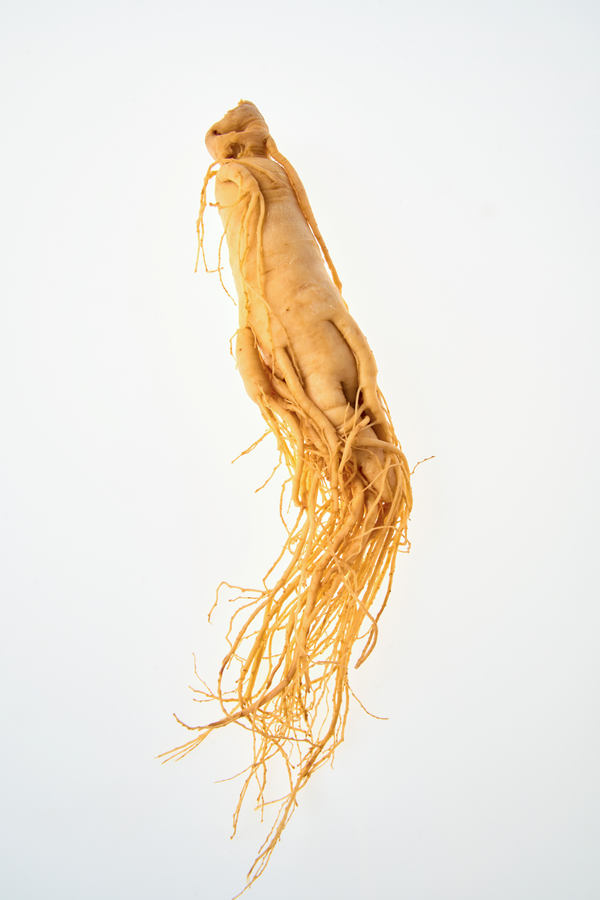 Ginseng